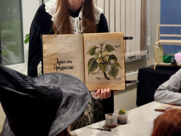 Ночь Гарри Поттера